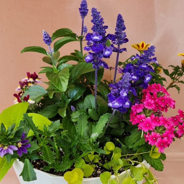 Patio Planter Workshop