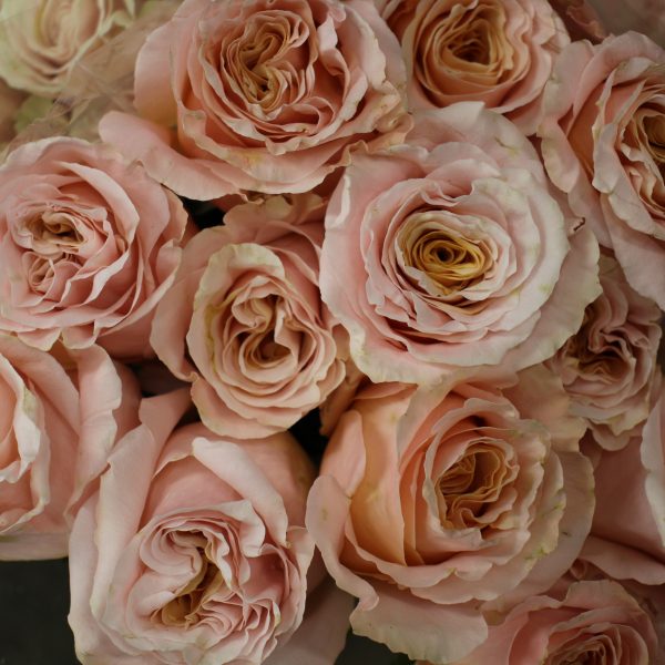 Urn Arrangements