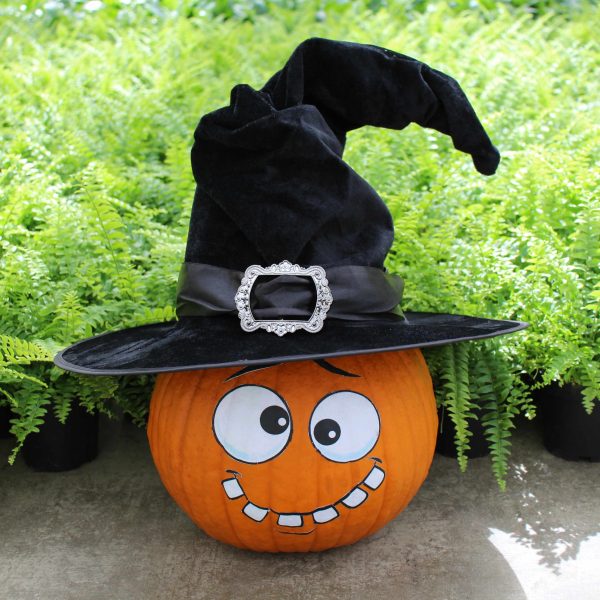 Pumpkin Decorating